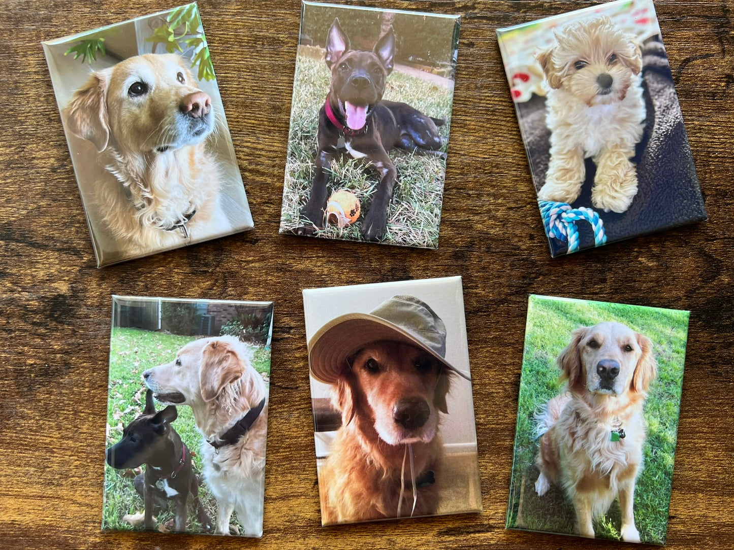 2x3 Custom Photo Magnets - Set of 6