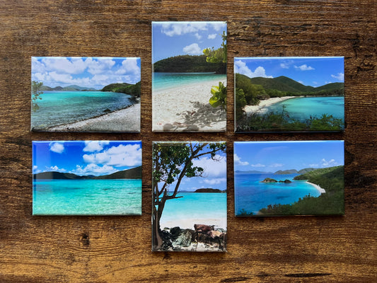 2x3 Custom Photo Magnets - Set of 6