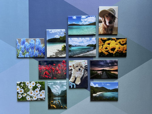 2x3 Custom Photo Magnets - Set of 12